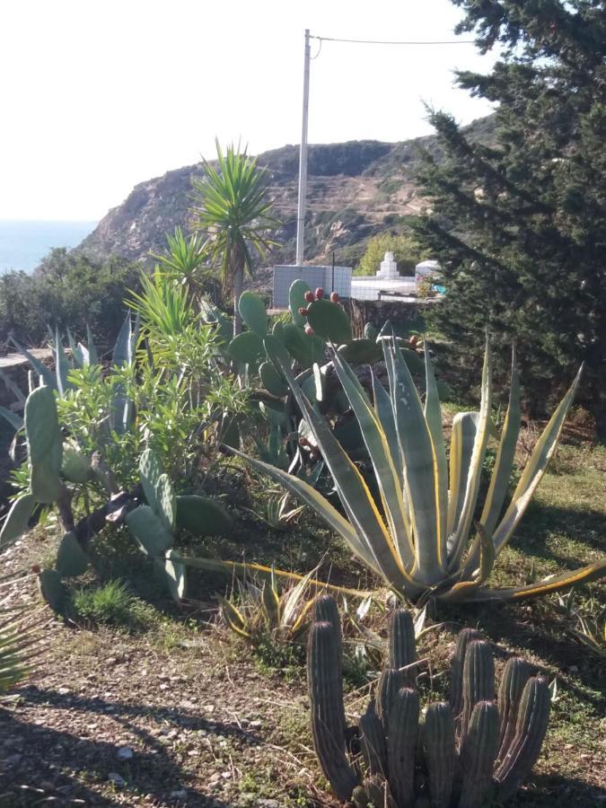 Villa Celestina, Great For Privacy And Seclusion Χρυσοπηγή Εξωτερικό φωτογραφία
