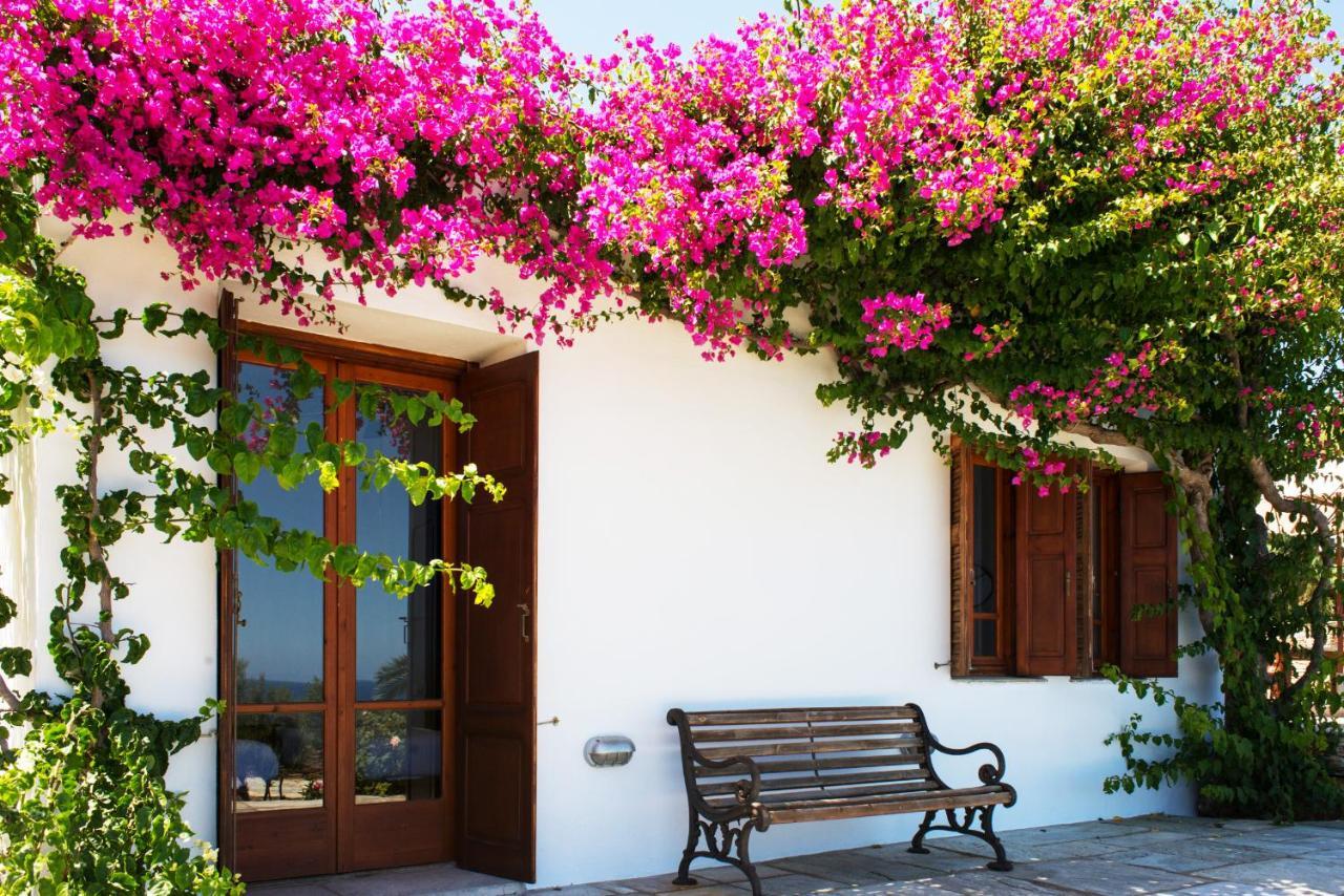 Villa Celestina, Great For Privacy And Seclusion Χρυσοπηγή Εξωτερικό φωτογραφία